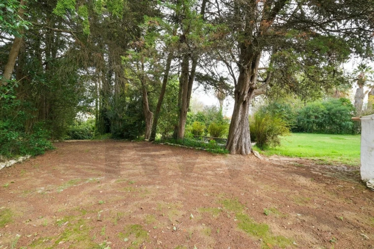 Quinta T14 para Venda em Vila Franca de Xira Foto 49