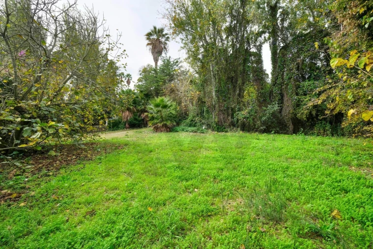 Quinta T14 para Venda em Vila Franca de Xira Foto 38