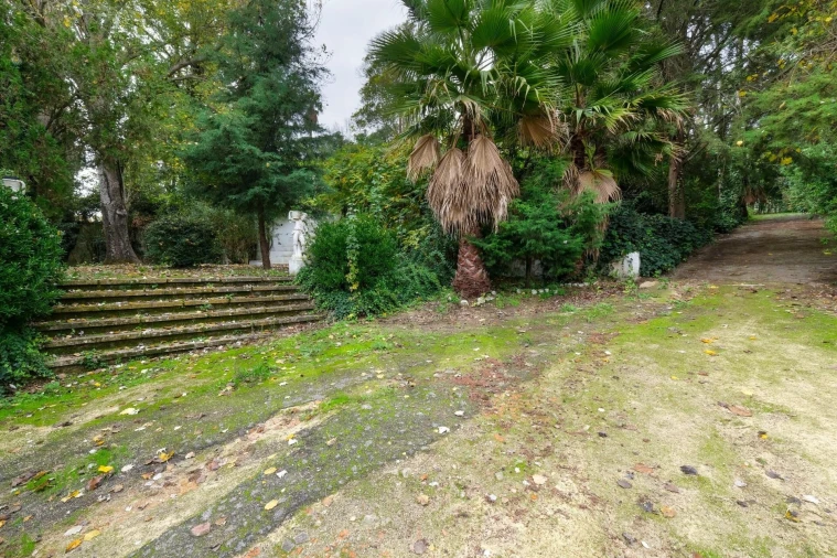 Quinta T14 para Venda em Vila Franca de Xira Foto 40