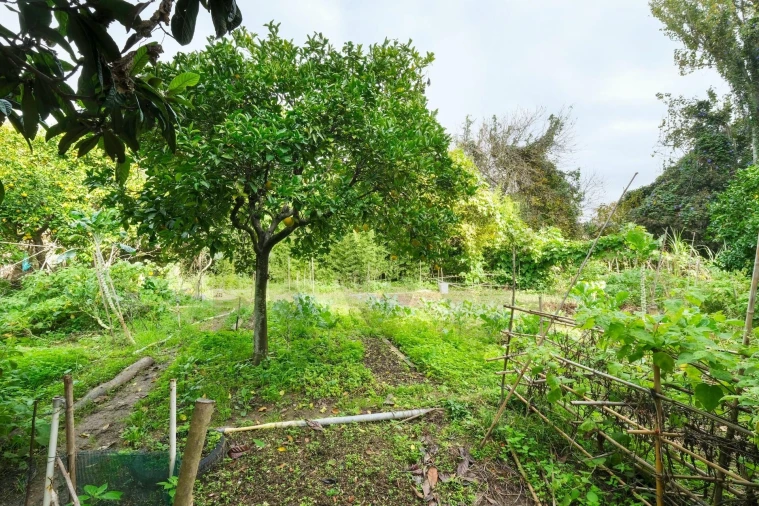 Quinta T14 para Venda em Vila Franca de Xira Foto 48