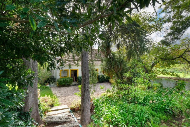 Quinta T14 para Venda em Vila Franca de Xira Foto 29