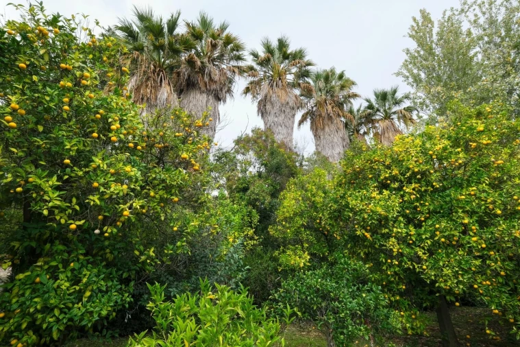 Quinta T14 para Venda em Vila Franca de Xira Foto 35