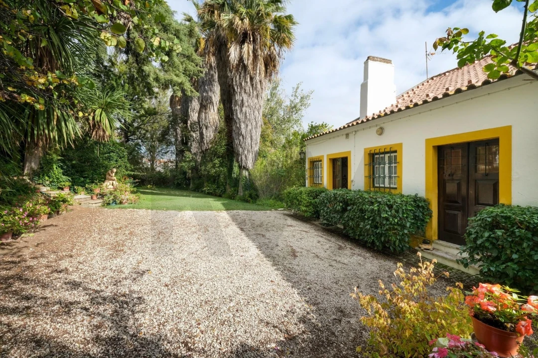 Quinta T14 para Venda em Vila Franca de Xira Foto 54