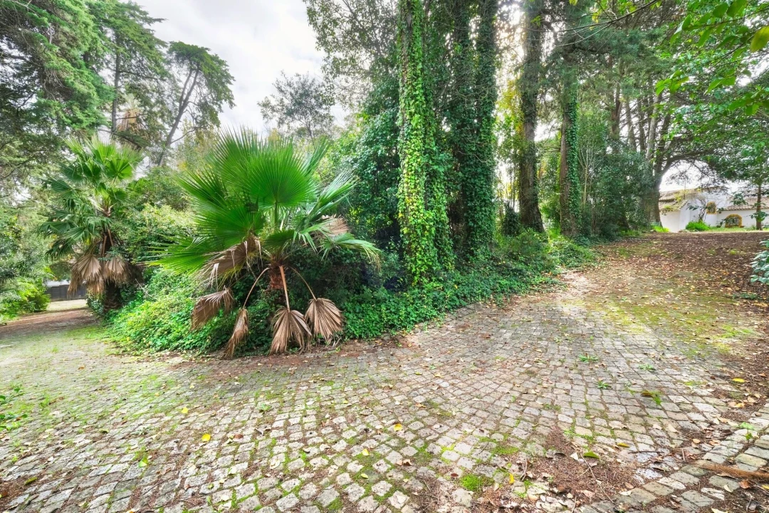 Quinta T14 para Venda em Vila Franca de Xira Foto 47