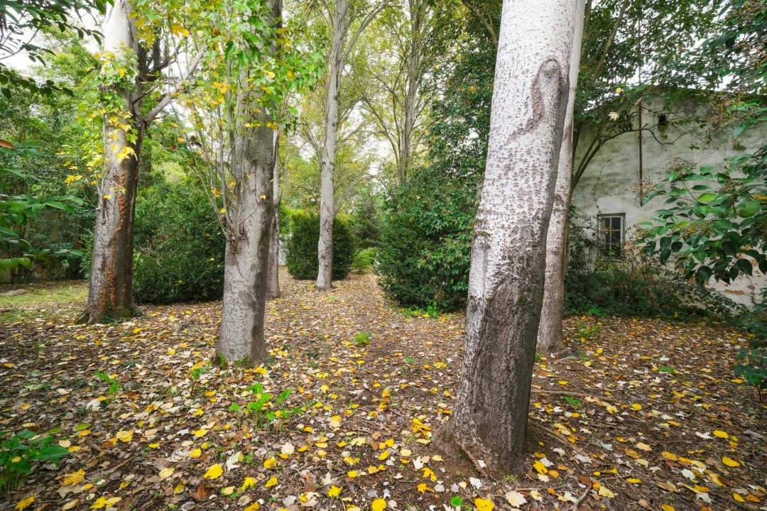 Quinta T14 para Venda em Vila Franca de Xira Foto 36