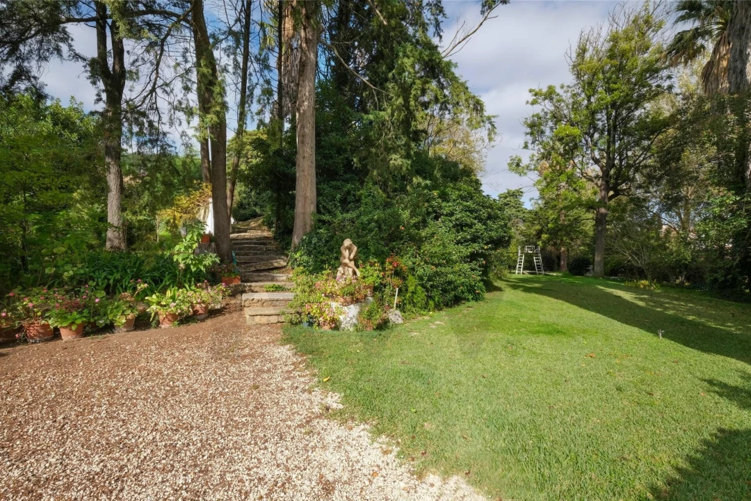 Quinta T14 para Venda em Vila Franca de Xira Foto 53