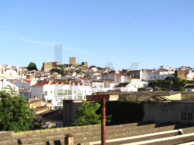 Apartamento T4 para Venda em Ribeira de Nisa e Carreiras Foto 33