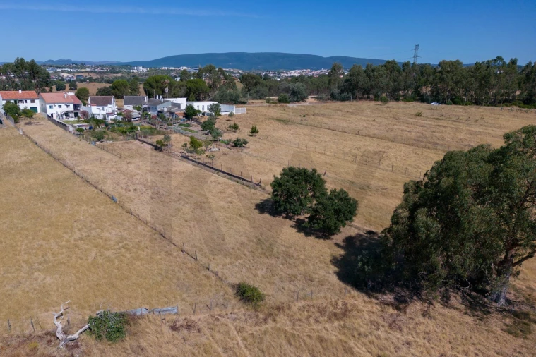 Moradia T3 para Venda em Riachos Foto 46