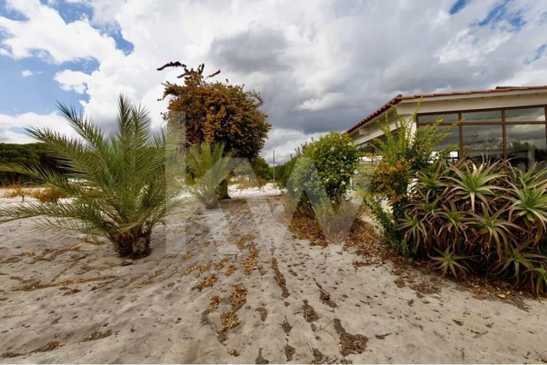 Quinta T3 para Venda em Torrão Foto 24