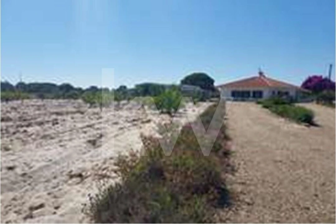 Quinta T3 para Venda em Torrão Foto 23