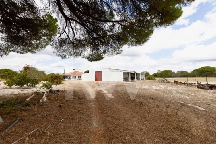 Quinta T3 para Venda em Torrão Foto 21