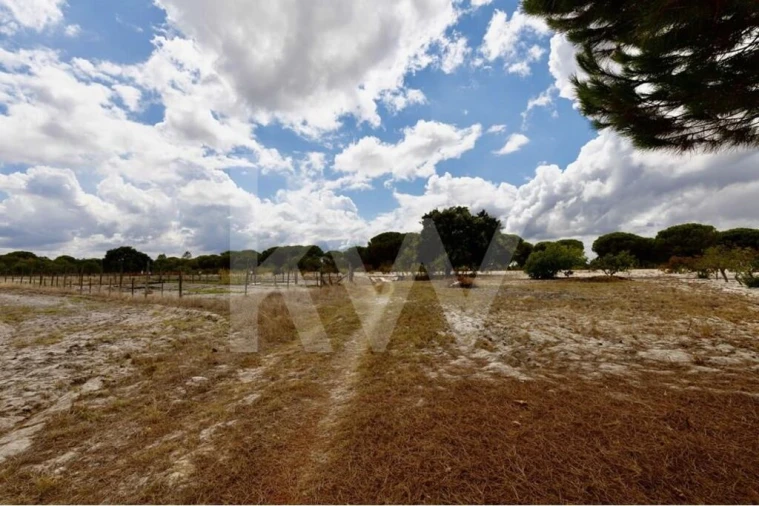 Quinta T3 para Venda em Torrão Foto 27