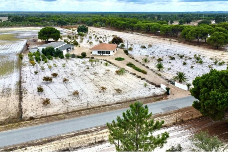 Quinta T3 para Venda em Torrão Foto 3