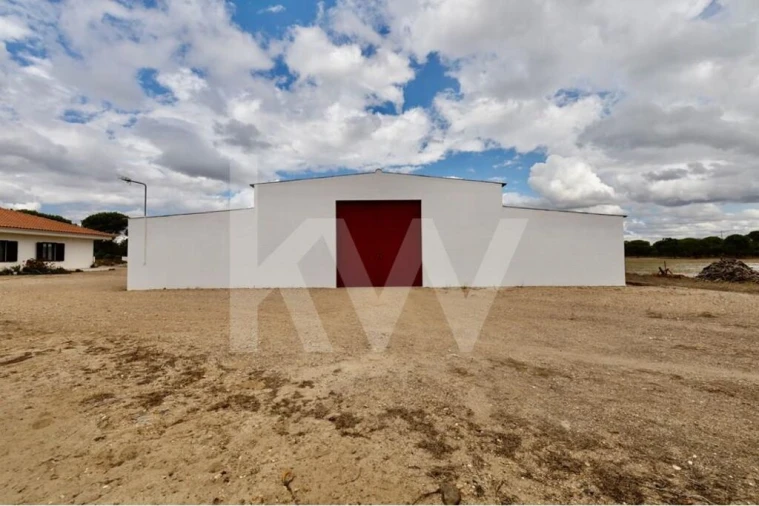 Quinta T3 para Venda em Torrão Foto 20