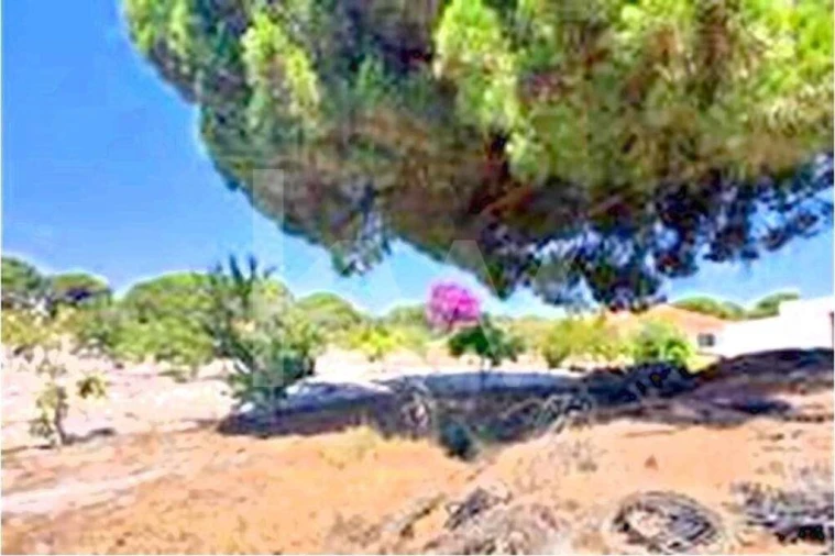 Quinta T3 para Venda em Torrão Foto 26