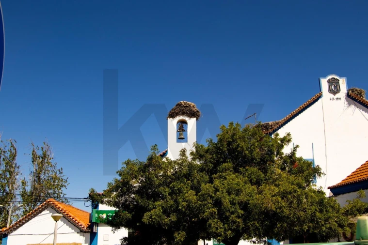 Moradia T8 para Venda em Carvalhal Foto 48