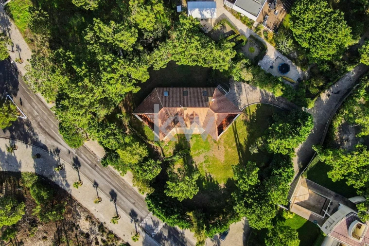 Moradia T8 para Venda em Carvalhal Foto 38