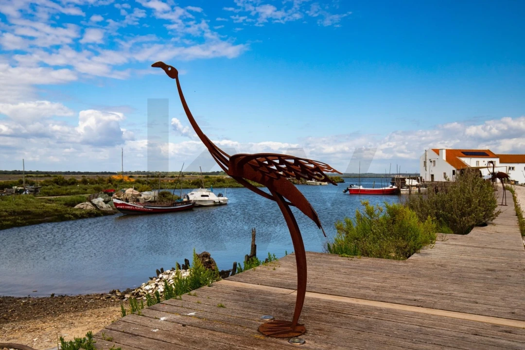 Terreno para Venda em Gambia-Pontes-Alto da Guerra Foto 22