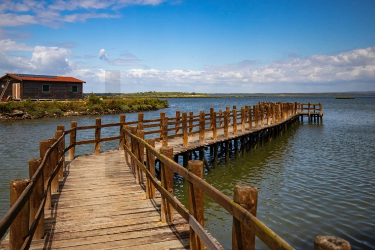 Terreno para Venda em Gambia-Pontes-Alto da Guerra Foto 25