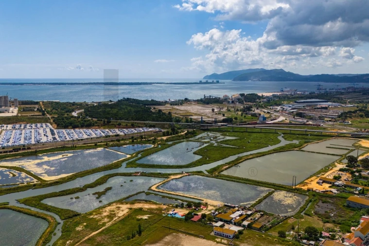 Terreno para Venda em Gambia-Pontes-Alto da Guerra Foto 15