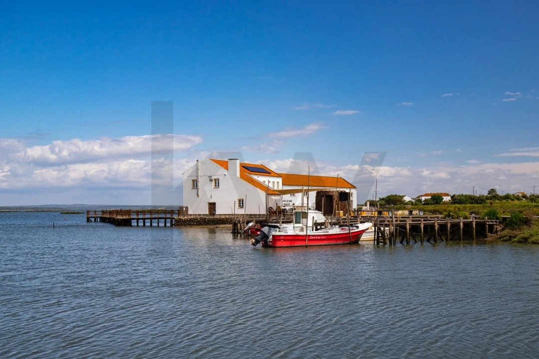 Terreno para Venda em Gambia-Pontes-Alto da Guerra Foto 21