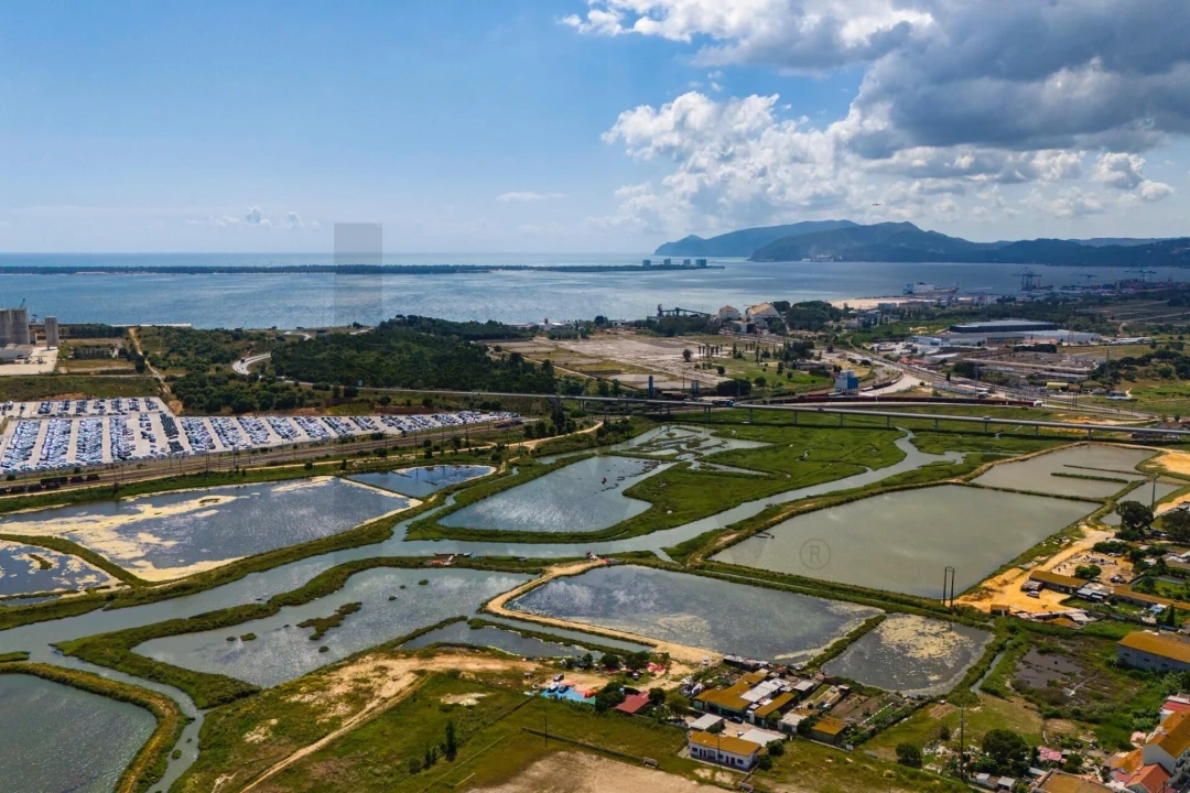 Terreno para Venda em Gambia-Pontes-Alto da Guerra Foto 15