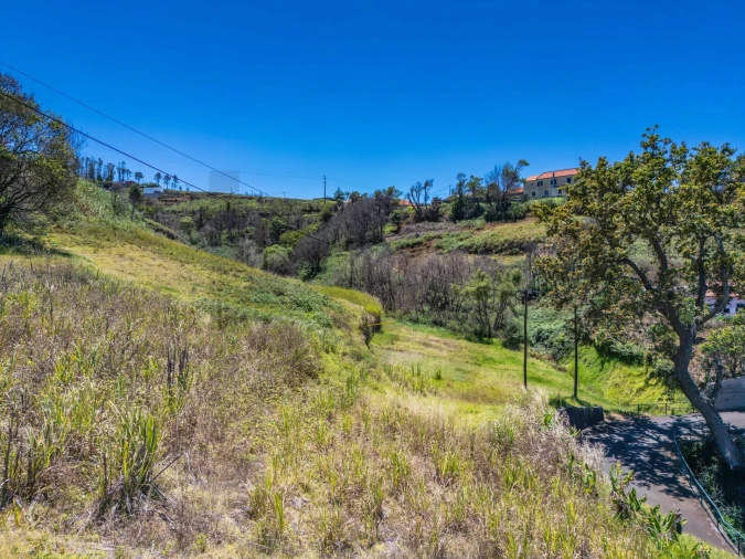 Terreno para Venda em Ponta do Pargo Foto 19