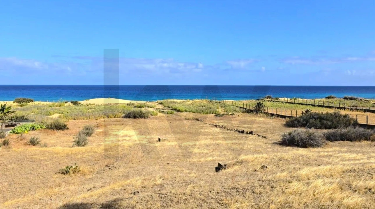 Terreno para Venda em Porto Santo Foto 15