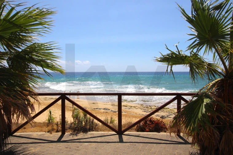 Terreno para Venda em Porto Santo Foto 17