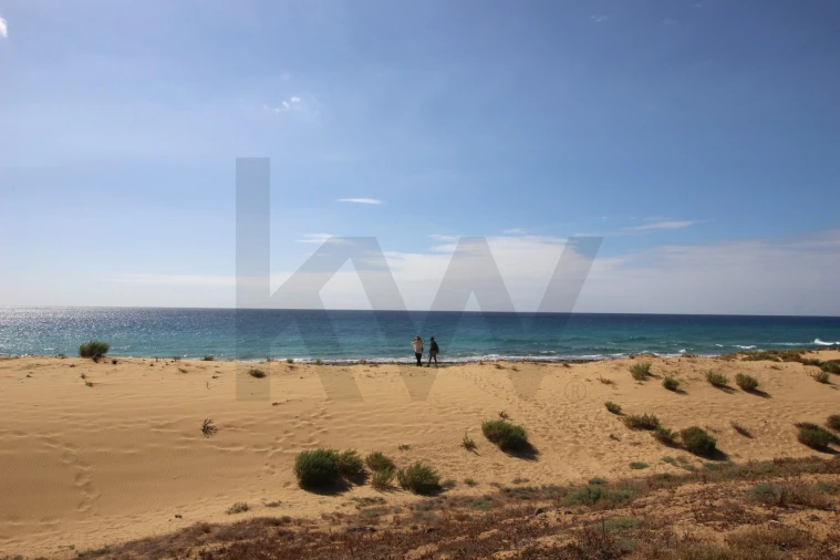 Terreno para Venda em Porto Santo Foto 12