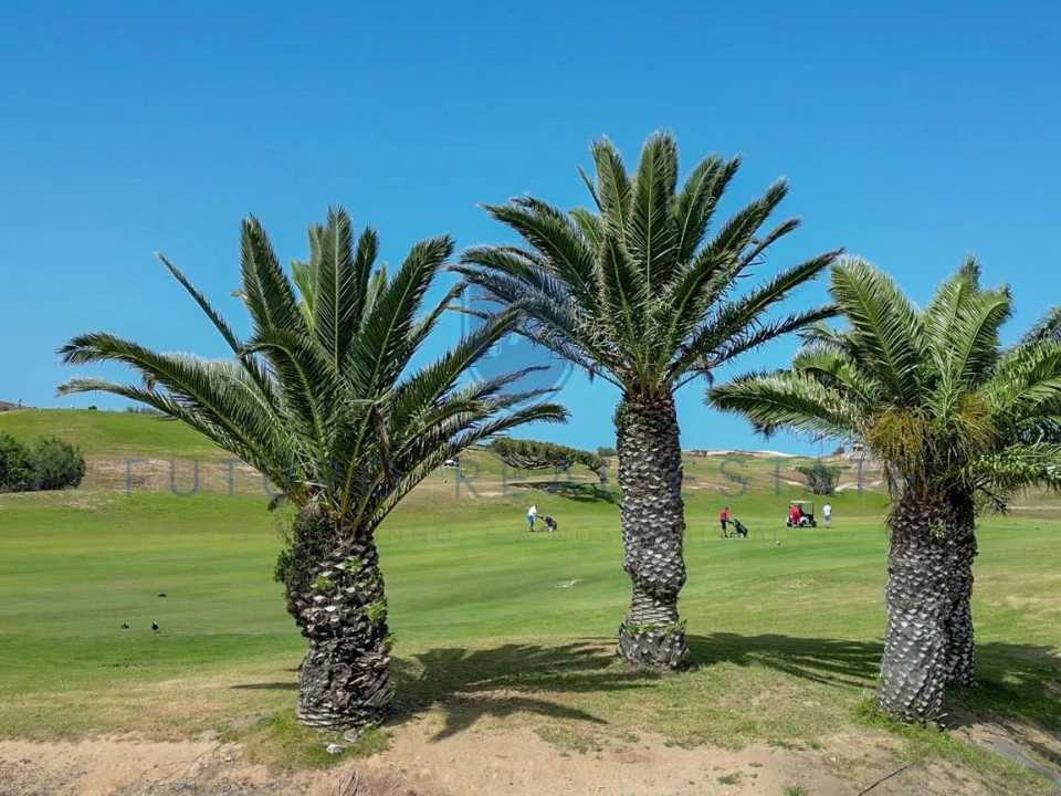 Terreno para Venda em Porto Santo Foto 20