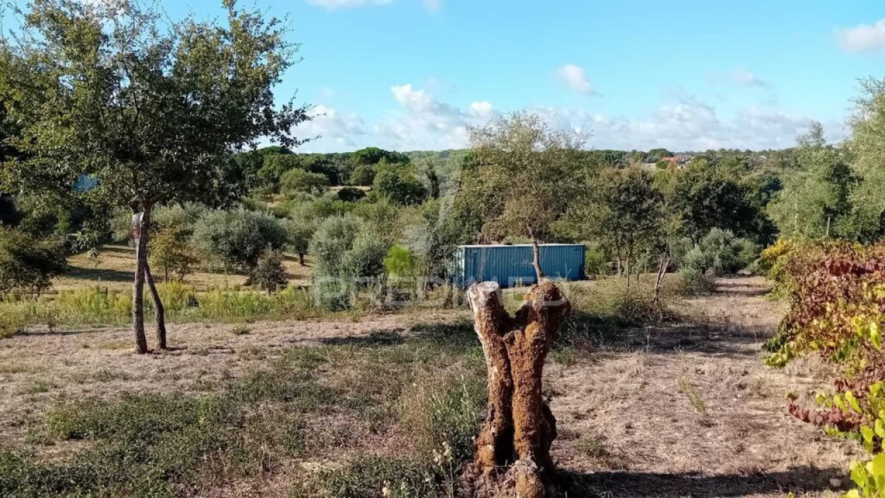 Terreno para Venda em Seiça Foto 3