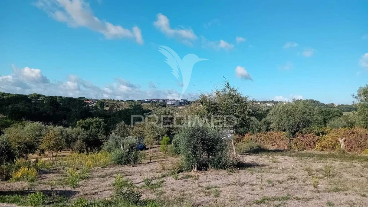 Terreno para Venda em Seiça Foto 8