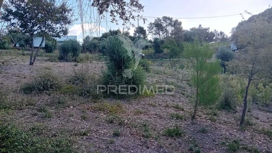 Terreno para Venda em Seiça Foto 7