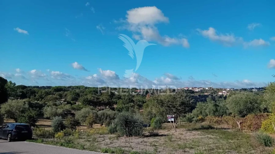 Terreno para Venda em Seiça Foto 15