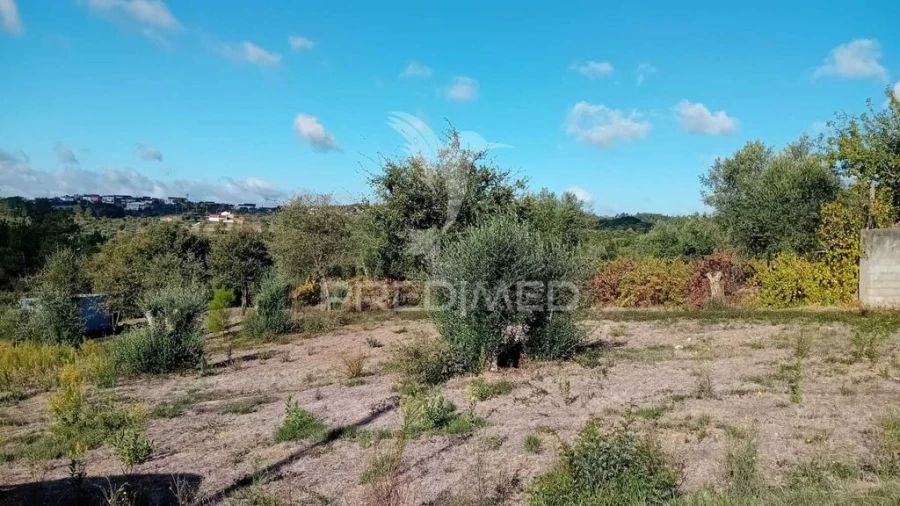 Terreno para Venda em Seiça Foto 10