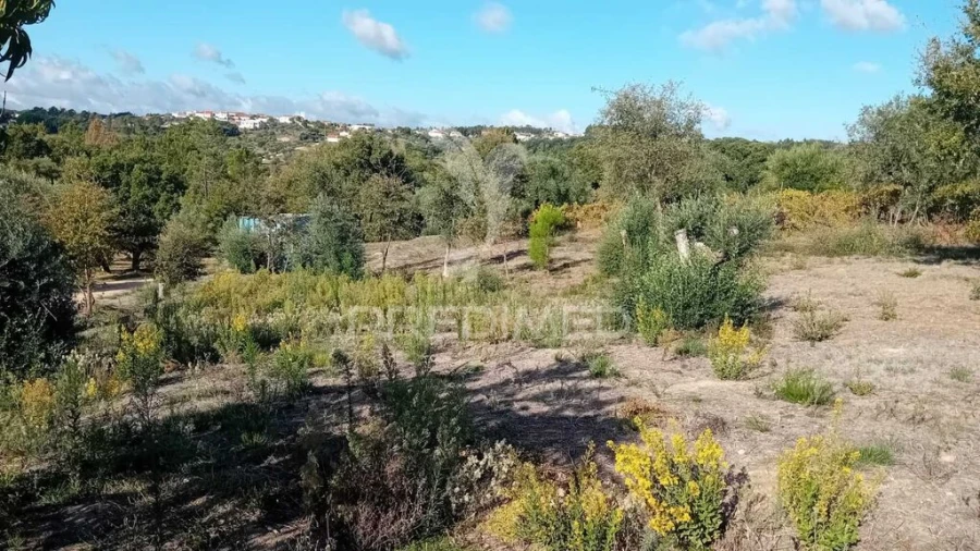 Terreno para Venda em Seiça Foto 12