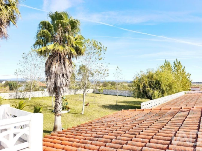 Quinta T4 para Venda em Ovar, São João, Arada e São Vicente de Pereira Jusã Foto 28