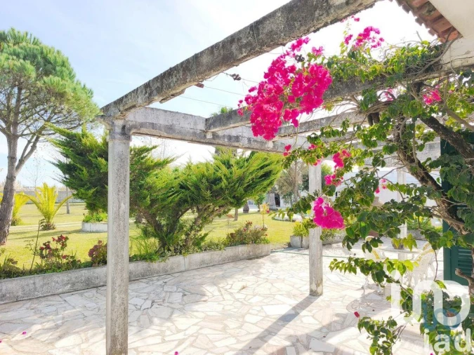 Quinta T4 para Venda em Ovar, São João, Arada e São Vicente de Pereira Jusã Foto 6