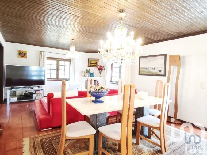 Quinta T4 para Venda em Ovar, São João, Arada e São Vicente de Pereira Jusã Foto 8