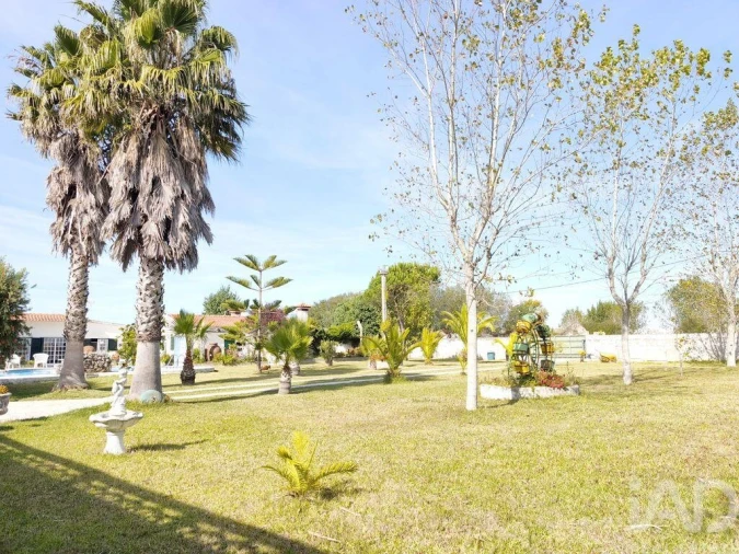 Quinta T4 para Venda em Ovar, São João, Arada e São Vicente de Pereira Jusã Foto 32