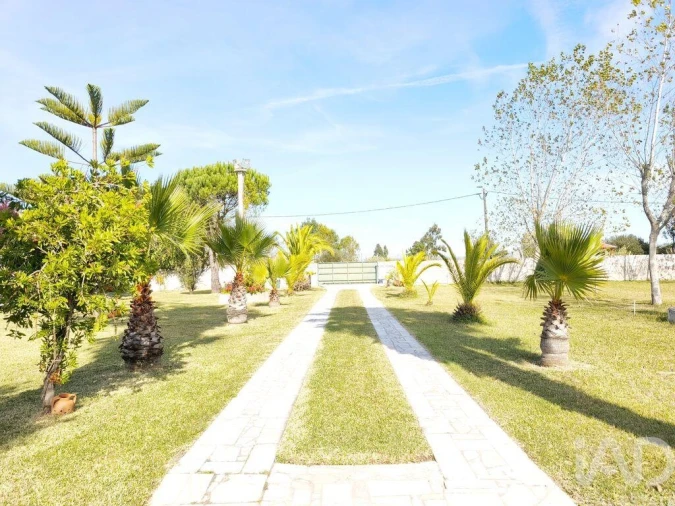 Quinta T4 para Venda em Ovar, São João, Arada e São Vicente de Pereira Jusã Foto 31