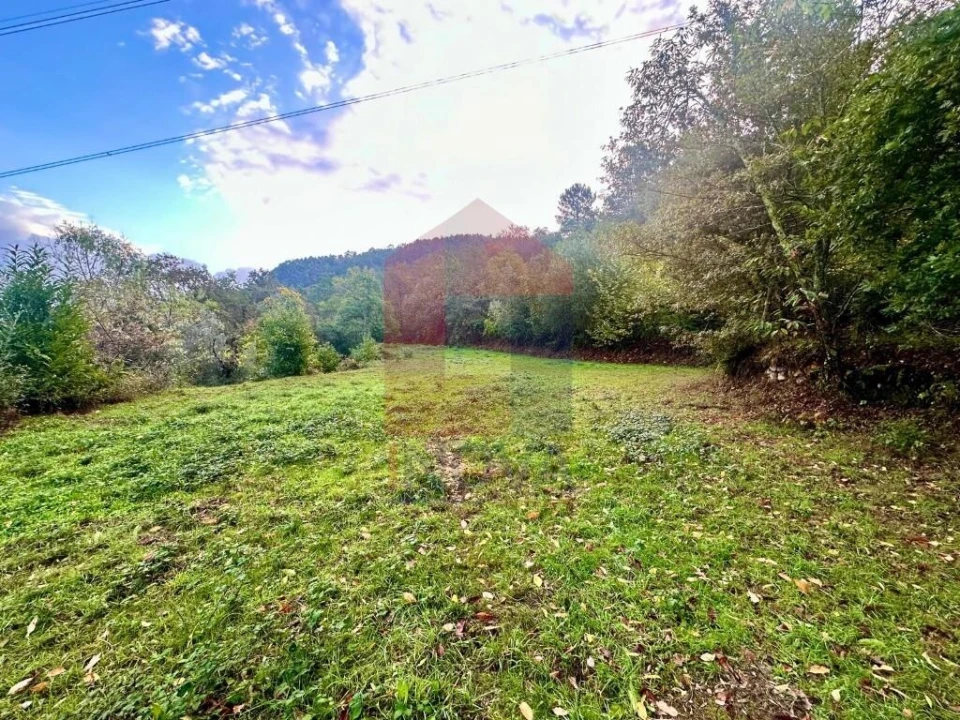 Terreno para Venda em Moimenta Foto 3