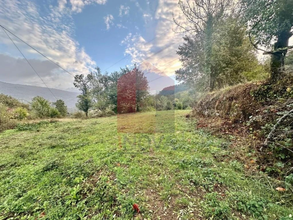 Terreno para Venda em Moimenta Foto 8