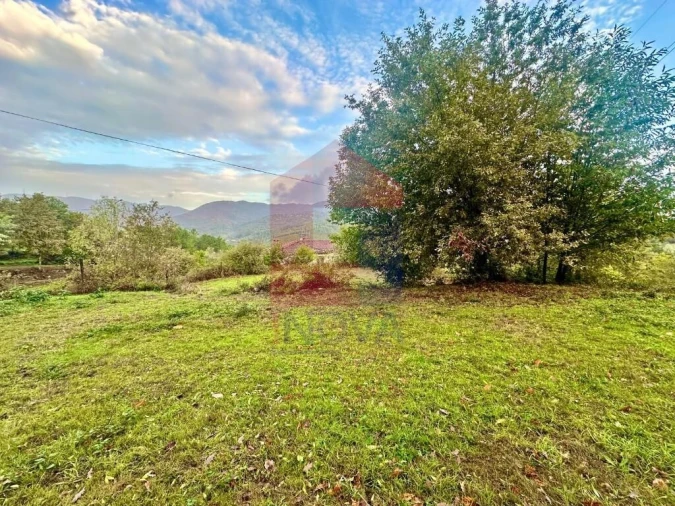 Terreno para Venda em Moimenta Foto 6