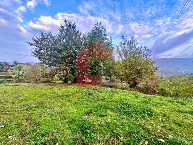 Terreno para Venda em Moimenta Foto 10