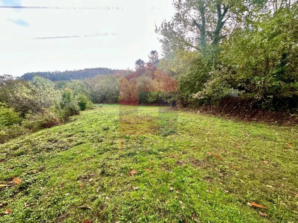 Terreno para Venda em Moimenta Foto 7