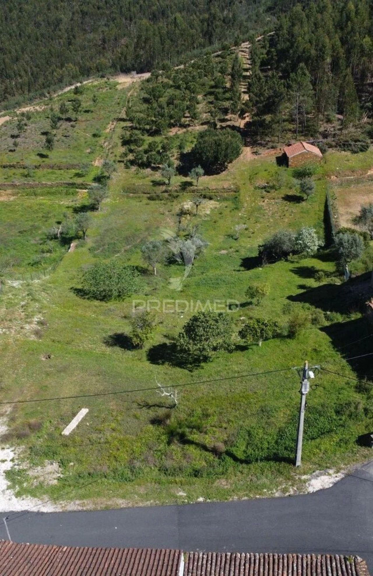 Terreno para Venda em Aldeia do Mato e Souto Foto 1