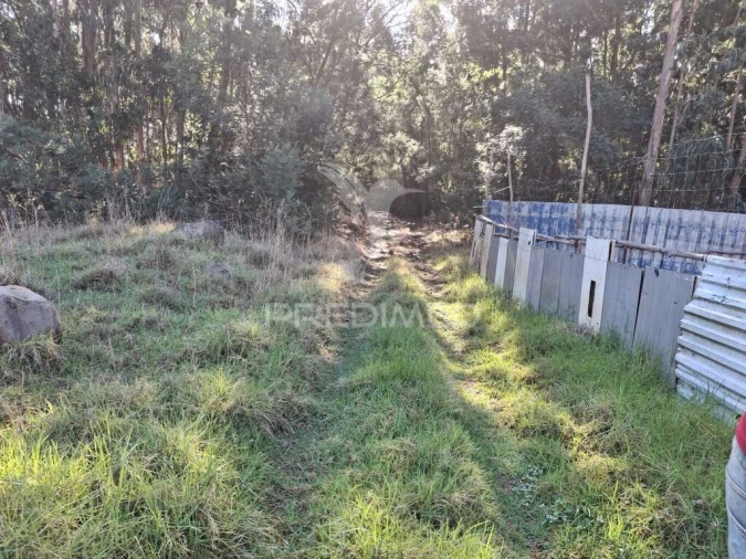 Terreno para Venda em Gaula Foto 12