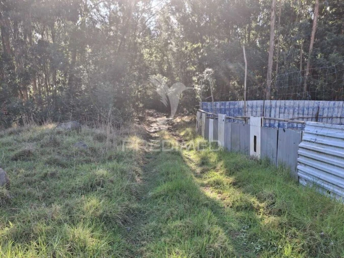 Terreno para Venda em Gaula Foto 10